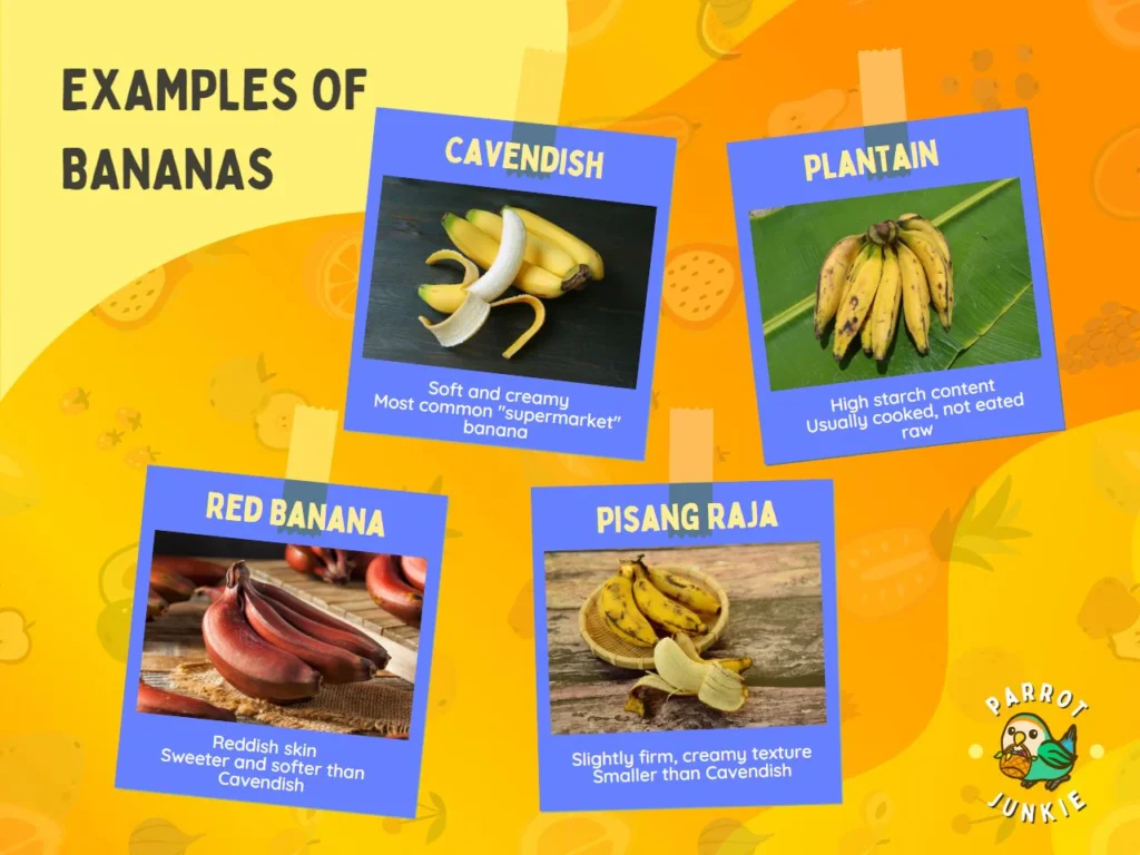 examples of bananas